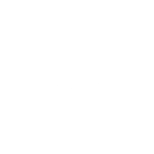 Roots & Wings